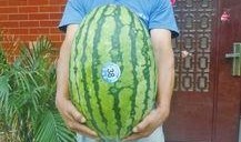 51今日吃瓜热门大瓜视频