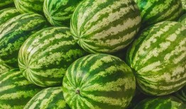 吃瓜爆料短剧吃瓜爆料大赛每日聚集地 热门大瓜每日必吃大瓜合集 朝阳吃瓜51cg,朝阳51CG每日大瓜盘点